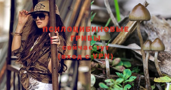 эйфоретик Киренск