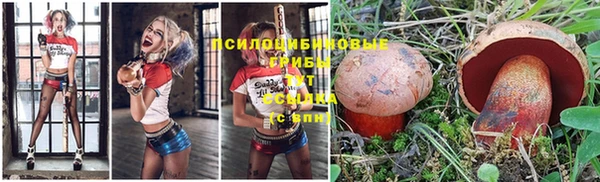герыч Кинешма