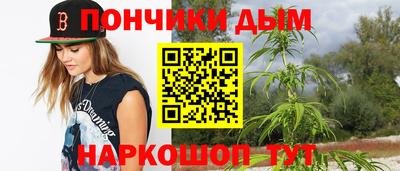 шишки Лесосибирск