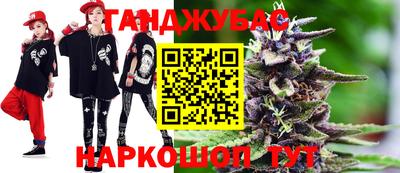 шишки Лесосибирск
