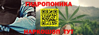 шишки Лесосибирск