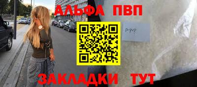 шишки Лесосибирск