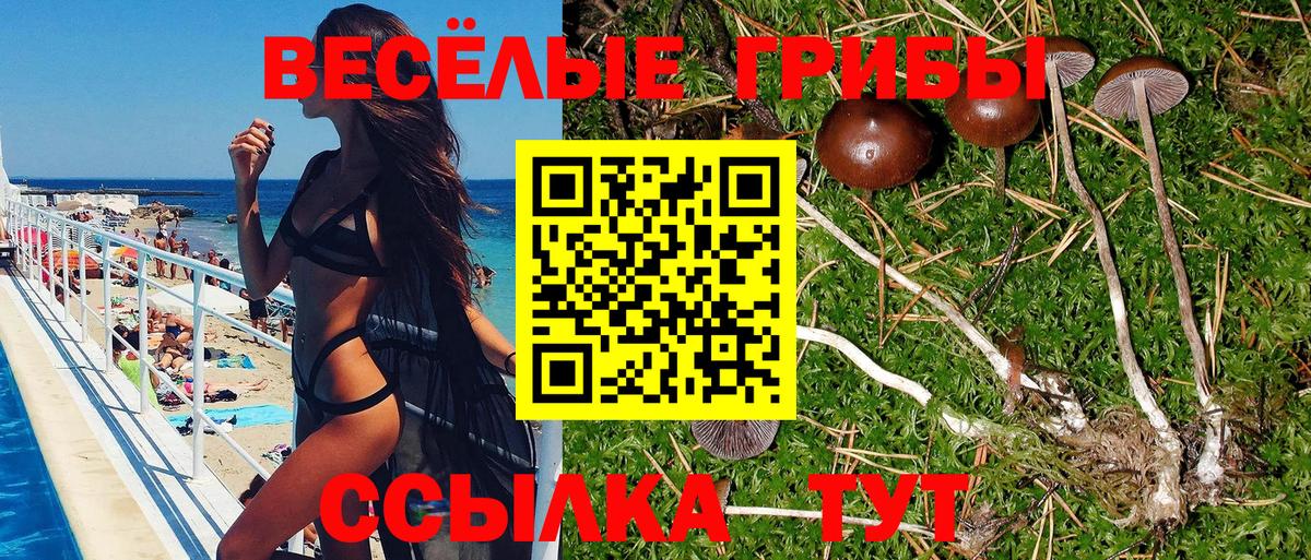 Галлюциногенные грибы Psilocybine cubensis  Галлюциногенные грибы мицелий  Урус-Мартан  Вход с VPN 