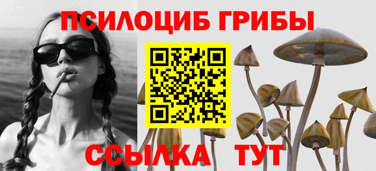 Псилоцибиновые грибы Cubensis Урус-Мартан