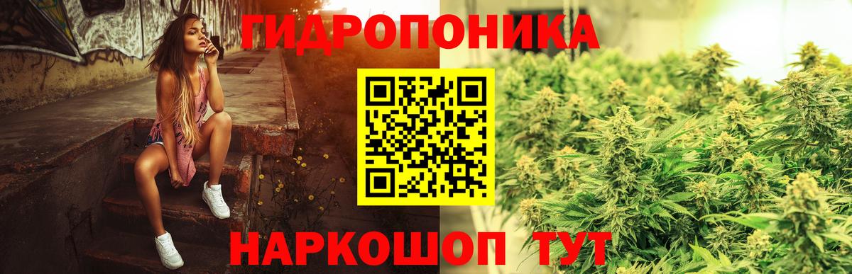 Урус-Мартан  Конопля семена  Каннабис индика  Вход с VPN  Бошки марихуана OG Kush 